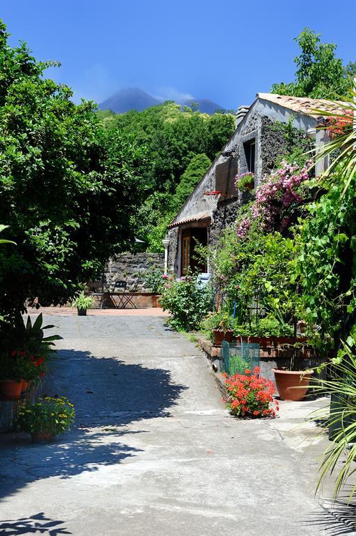 B&B A Rinazzu Milo Bagian luar foto